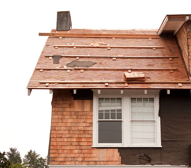 Siding for New Construction in Harbor Bluffs, FL